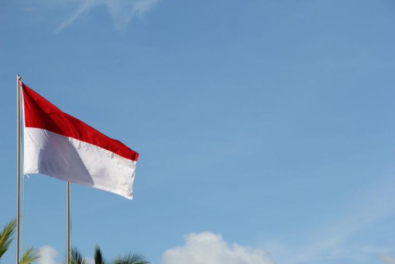 Istilah ‘Negeri Wakanda’ dan ‘Warga +62’ sebagai Olokan yang ternormalisasi menjadi Latar Belakang Merosotnya Jiwa Patriotik dikalangan Generasi Muda Indonesia